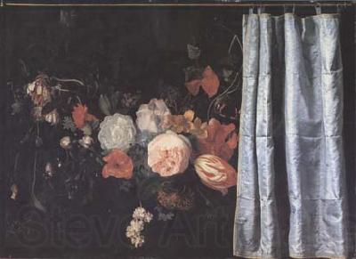 SPELT, Adrian van der Flower Still Life with Curtain (mk14) Spain oil painting art